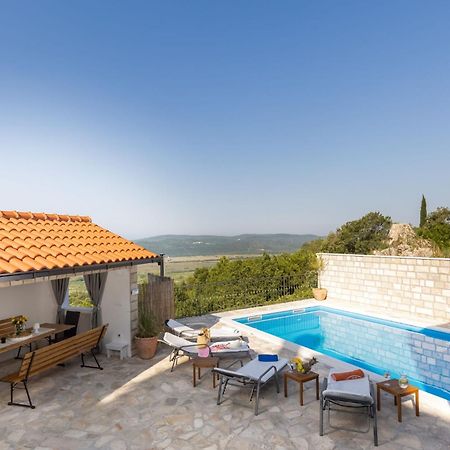 Villa Source With Private Pool Pridvorje Exterior photo